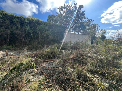  | うるま市喜仲4丁目土地