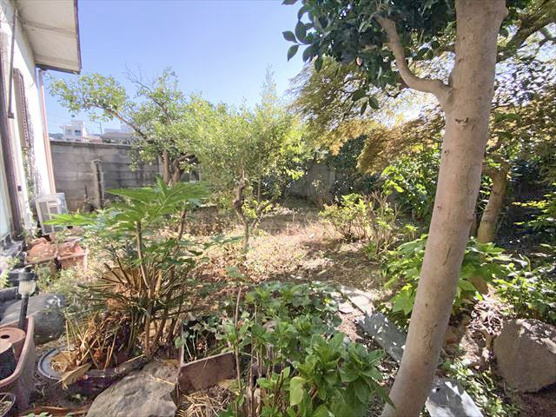 【庭】 | 伊東市中央町　戸建