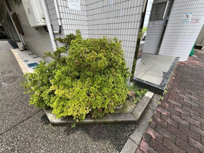 【庭】 | ライオンズマンション相模原第8 | 物件によっては、入居者が個人的に使用できる専用庭がついているものもあります。また、住宅の中にある土間の部分を庭と呼ぶこともあります。庭の用途は住む人によって変わり、それによってデザインもさまざまです。