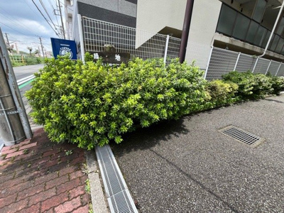 【庭】 | ライオンズマンション相模原第8