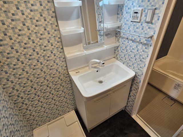 Jackson Street 521の洗面所