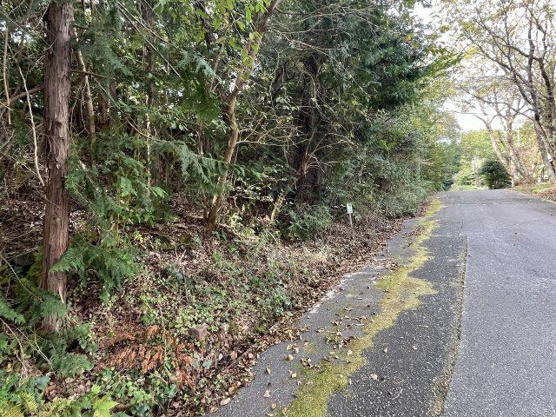 【外観】 | 中伊豆ニューライフヴィレッジ　売地