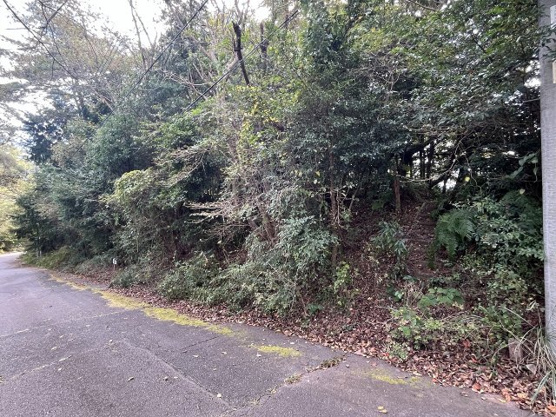 【外観】 | 中伊豆ニューライフヴィレッジ　売地