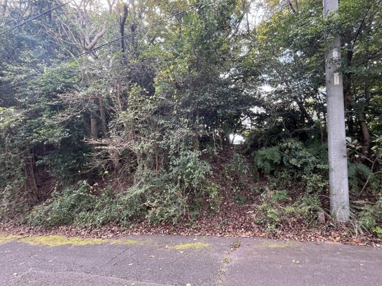 【外観】 | 中伊豆ニューライフヴィレッジ　売地