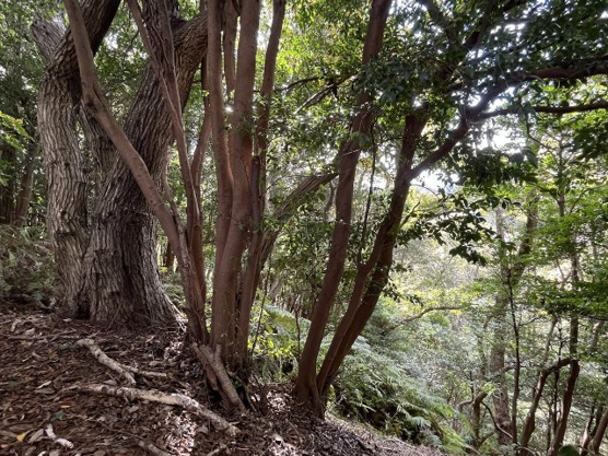 【外観】 | 中伊豆ニューライフヴィレッジ　売地