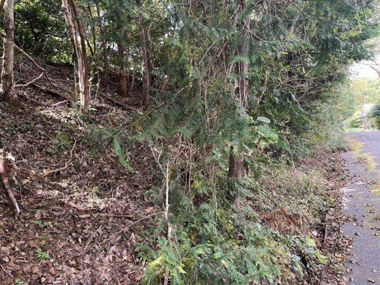 【外観】 | 中伊豆ニューライフヴィレッジ　売地