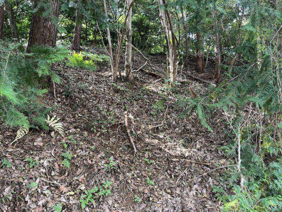 【外観】 | 中伊豆ニューライフヴィレッジ　売地