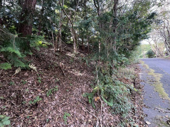 【外観】 | 中伊豆ニューライフヴィレッジ　売地