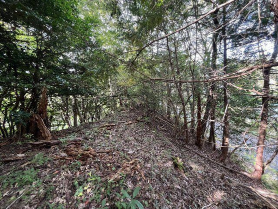 【外観】 | 中伊豆ニューライフヴィレッジ　売地