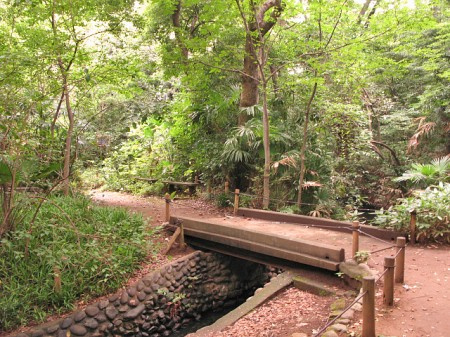 文京区大塚３丁目の賃貸マンションの周辺