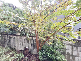 【展望】 | バルコニーからの景色です。～即日のご見学可能～　お問合せはお気軽にどうぞ。