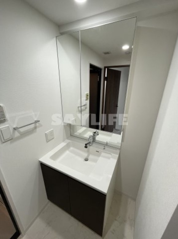 プレサンスＮＥＯ新深江リュミエル の独立洗面台