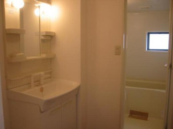 ロイヤルガーデンD棟の洗面所