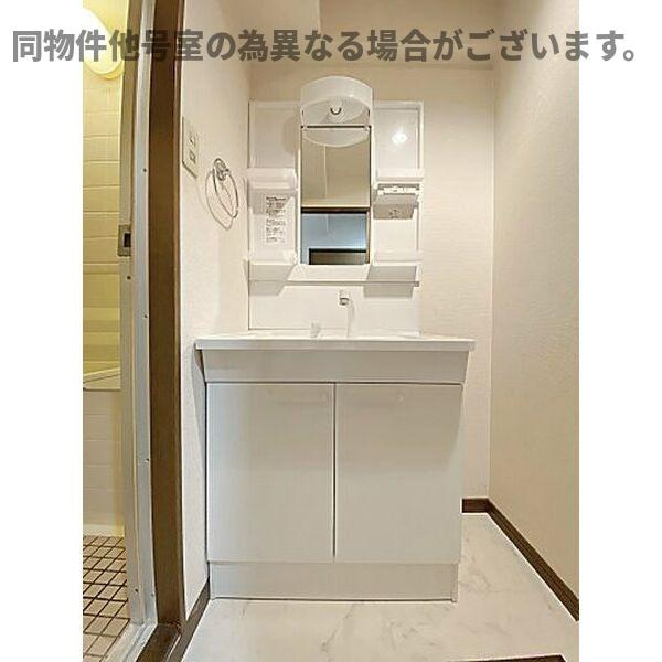 エスポワール池花の洗面所