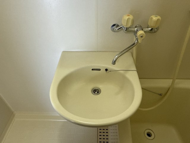 ヴィラ・Ｉの洗面所