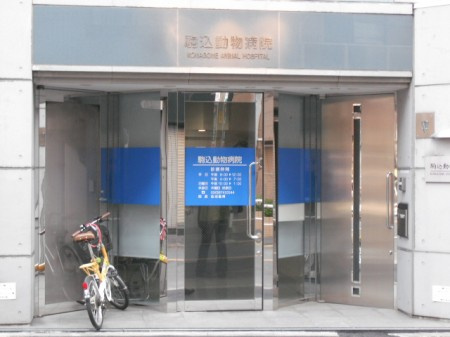 文京区本駒込５丁目の賃貸マンションの周辺