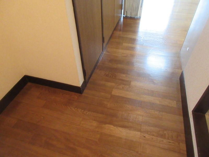 リバーヒルズIの玄関