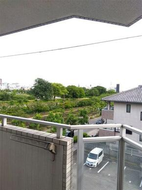 サニーガーデンの展望