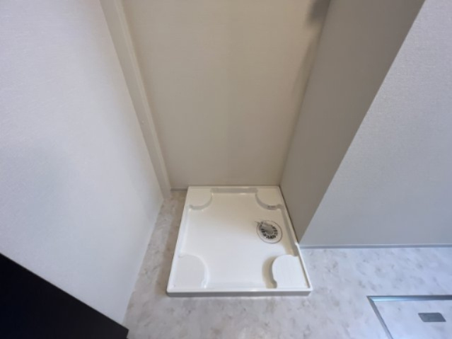 ペガサスⅠのその他|
