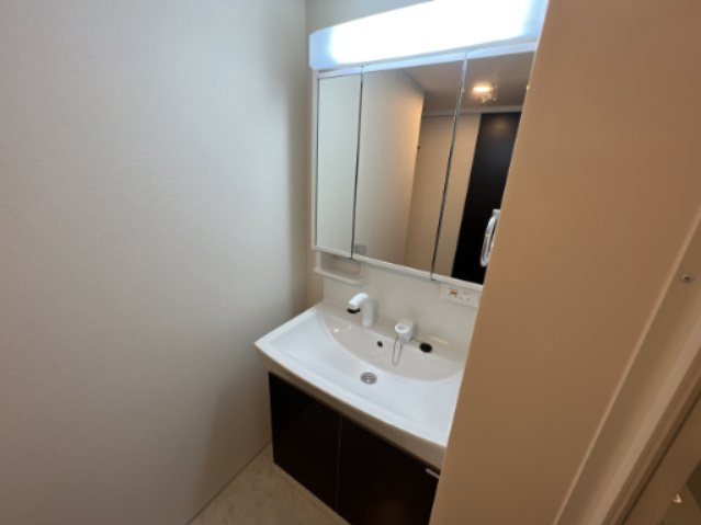 ペガサスⅠの独立洗面台|
