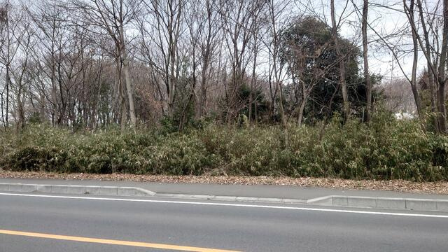 小山市梁　土地