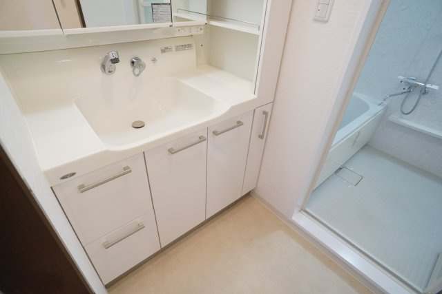 サーパス逆瀬川の洗面所