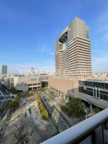 ザ・パークハビオ天満橋の展望