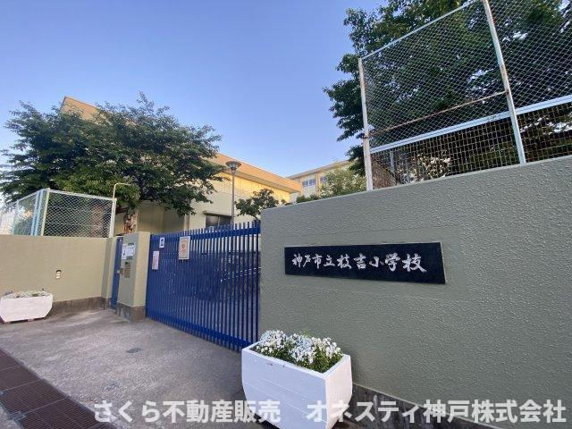 西明石ファミリーハイムの周辺