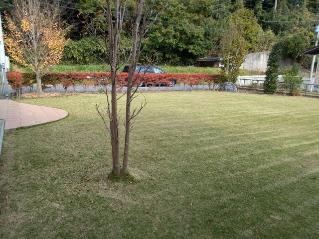 【庭】 | 山武市美杉野　中古戸建