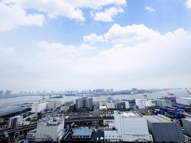 ワールドシティタワーズブリーズタワーマンションの展望