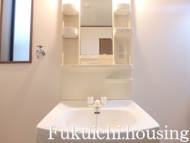 サンテラス弐番館の洗面所