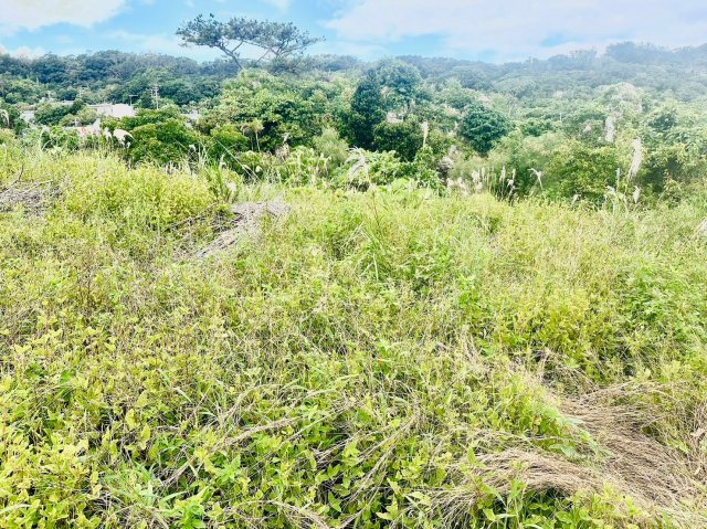 南城市知念志喜屋【限定１区画】の前面道路含む現地写真|現地写真です