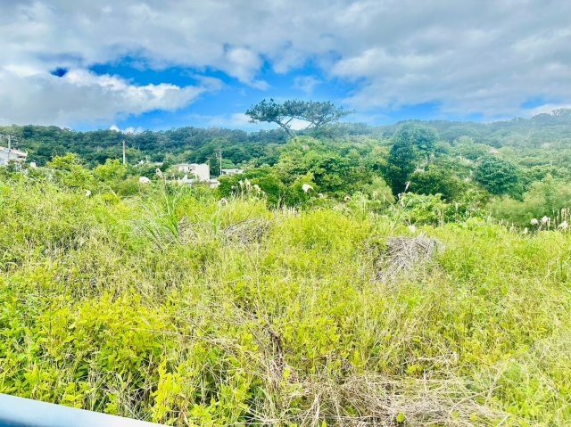 南城市知念志喜屋【限定１区画】の前面道路含む現地写真|現地写真です