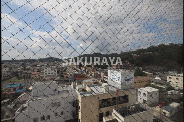 あしかがビルの展望|2024年11月撮影。