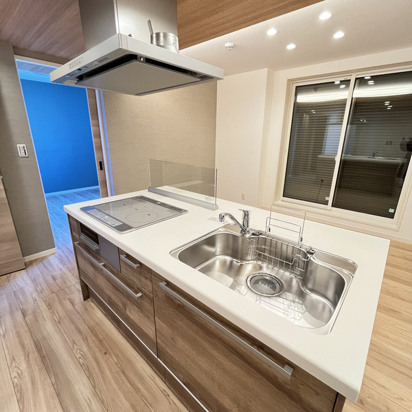 Grandy Villa Ohtakanomori Ⅱのキッチン