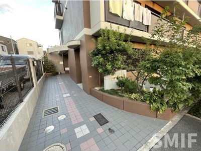 【エントランス】 | どりーむ