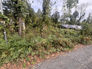 【前面道路含む現地写真】 | 高島市今津町桂740-26　売土地 | 2024年11月　撮影