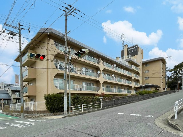 スターハイツ住吉川の外観