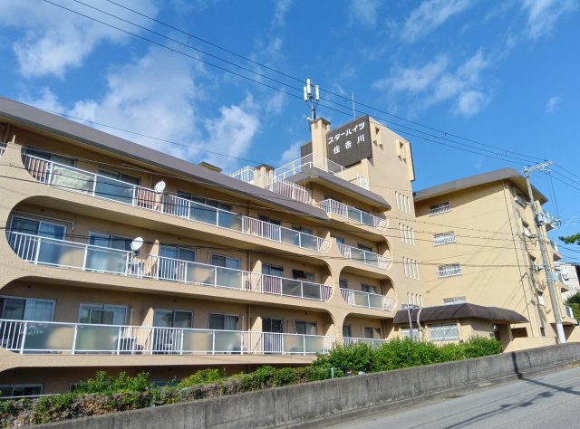 スターハイツ住吉川