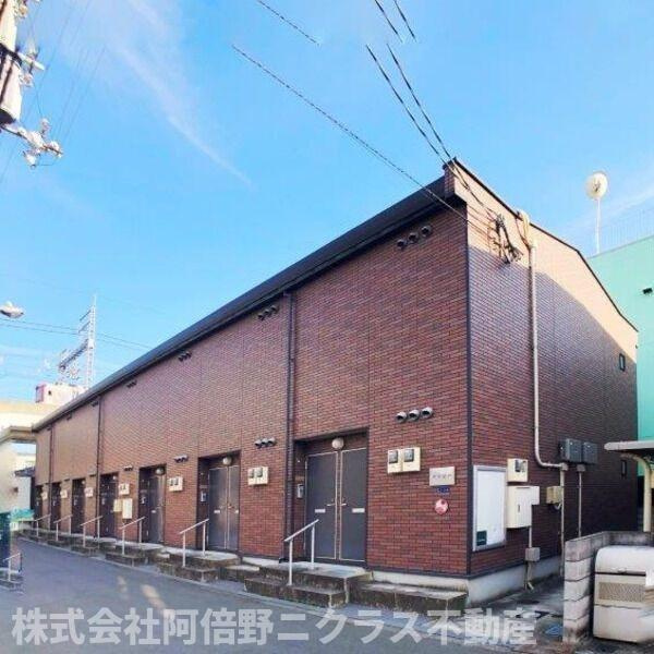ワラビー