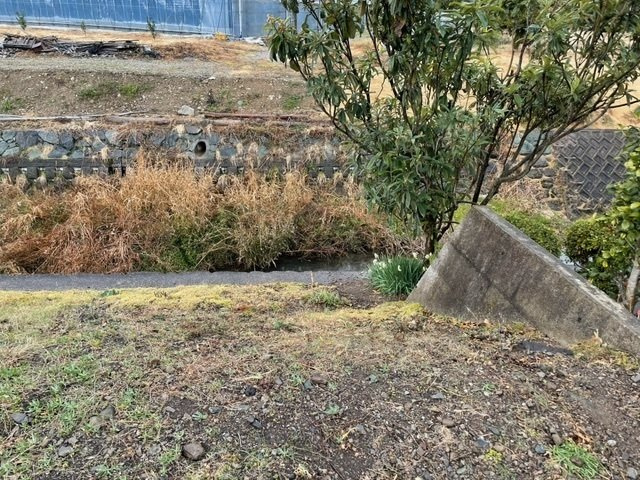 西条市野々市99-2の外観