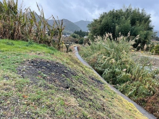 西条市野々市99-2のその他