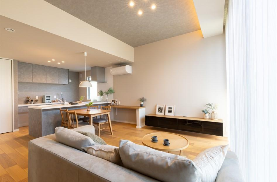 下野市仁良川　新築戸建の居間・リビング