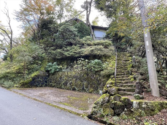 【前面道路含む現地写真】 | 東急天城高原別荘地　戸建