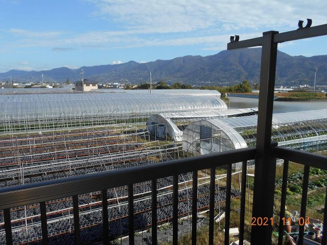 シングルライフの展望