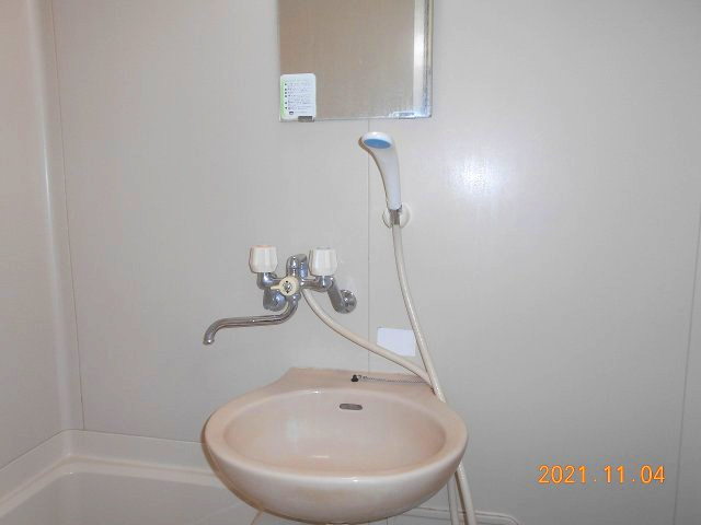 シングルライフの洗面所