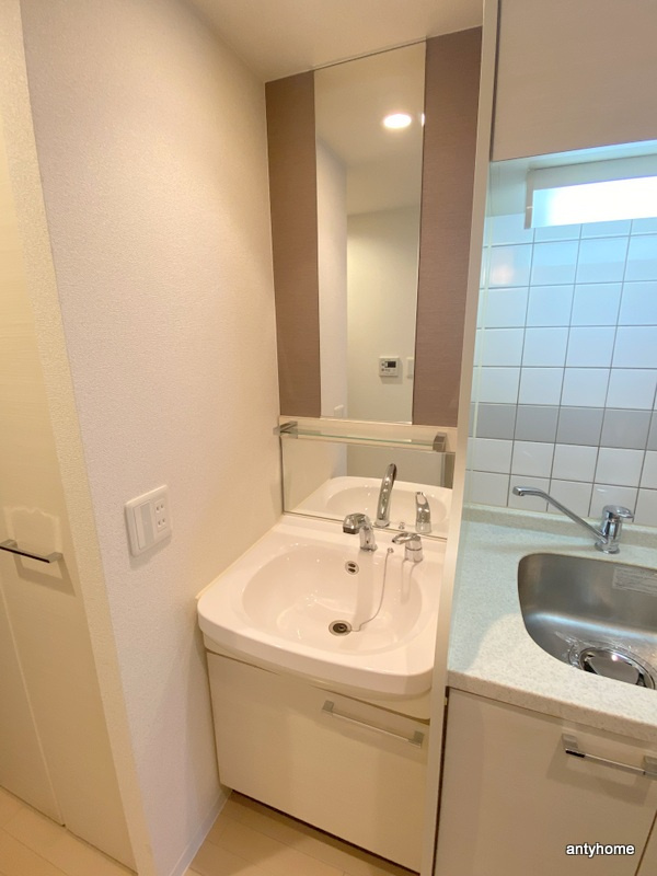 プレサンス中之島公園グラシア　仲介手数料無料の洗面所