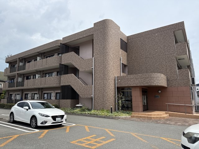 グレイス・セイバリー