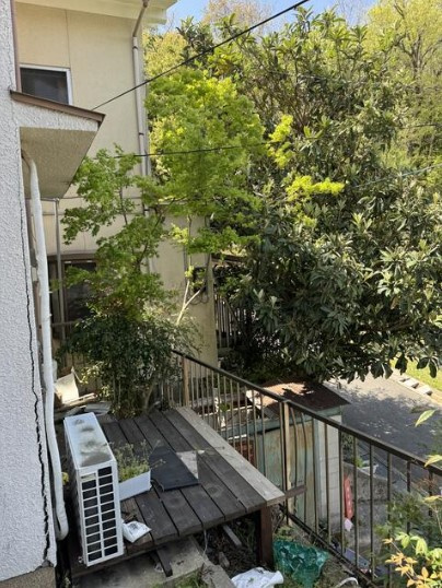 【展望】 | K21592-金閣