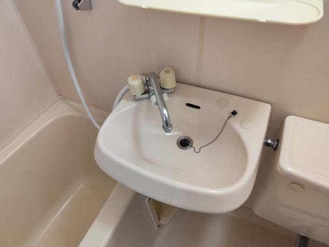 キャッスルアメニティの洗面所